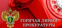 Всеволожской городской прокуратурой проводится «горячая линия» по вопросам исполнения природоохранного законодательства!